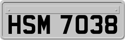 HSM7038