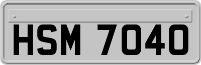 HSM7040