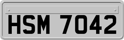 HSM7042