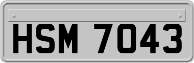 HSM7043