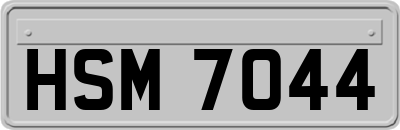HSM7044