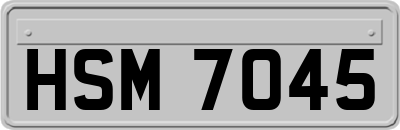 HSM7045