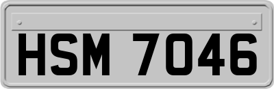 HSM7046