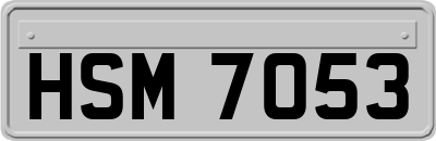 HSM7053