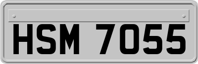 HSM7055