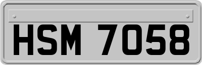 HSM7058