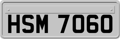 HSM7060