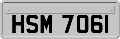 HSM7061