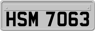 HSM7063