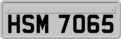 HSM7065