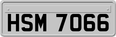 HSM7066