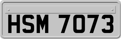 HSM7073