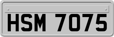 HSM7075