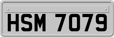HSM7079