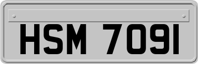 HSM7091