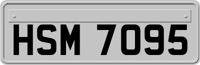 HSM7095