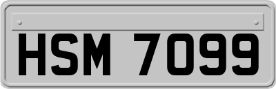 HSM7099