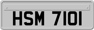 HSM7101