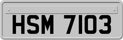 HSM7103