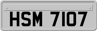 HSM7107