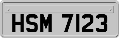 HSM7123