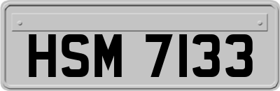 HSM7133