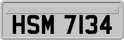 HSM7134
