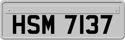 HSM7137