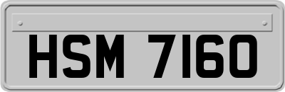 HSM7160