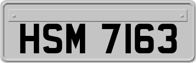HSM7163