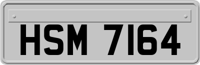 HSM7164