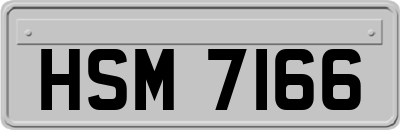 HSM7166