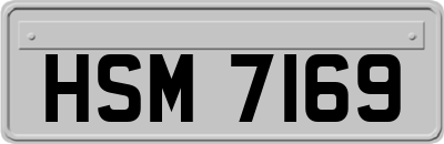 HSM7169