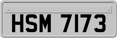 HSM7173