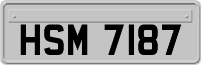 HSM7187