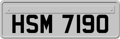 HSM7190