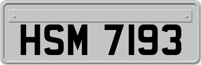 HSM7193