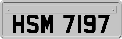 HSM7197