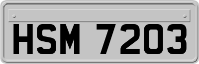HSM7203