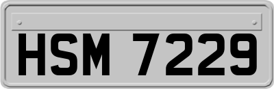 HSM7229
