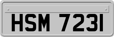 HSM7231