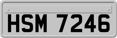 HSM7246