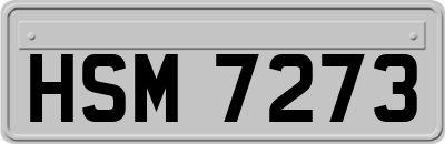 HSM7273