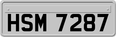 HSM7287