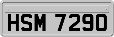 HSM7290