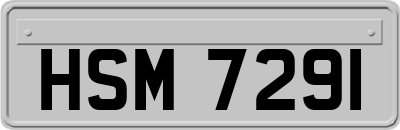 HSM7291