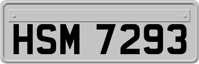 HSM7293