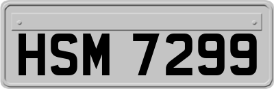 HSM7299