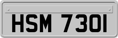 HSM7301