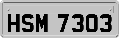 HSM7303